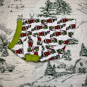 👀🎄Hanna Andersson Pet